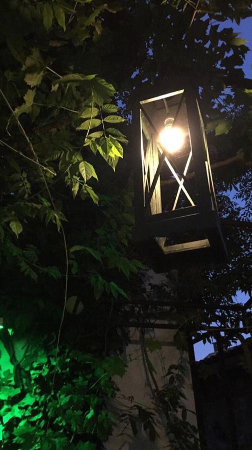 Dalyan Butik Otel Hayat Bahcesi Ayvalı Exteriör bild